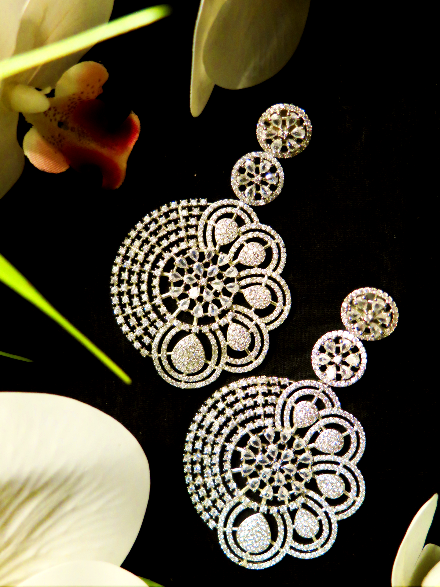Tremendously Elegant Earrings in Silver