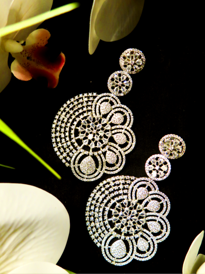 Tremendously Elegant Earrings in Silver