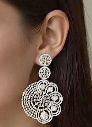 Tremendously Elegant Earrings in Silver